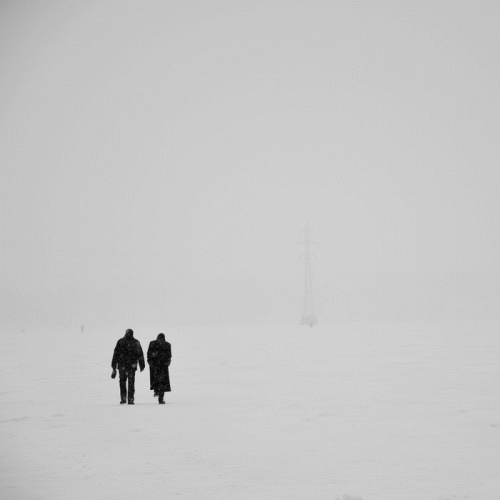 Skverna Liniya : Snowfall